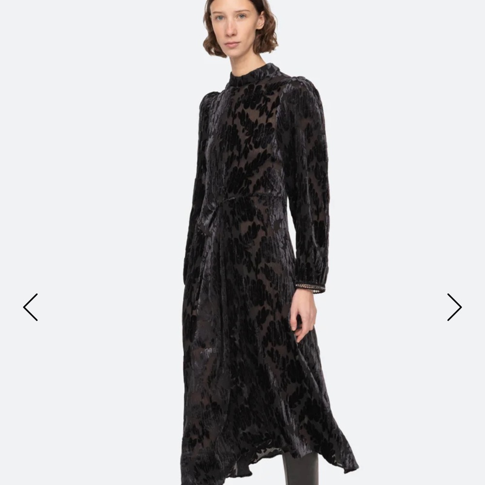 SEA NY Devore velvet dress